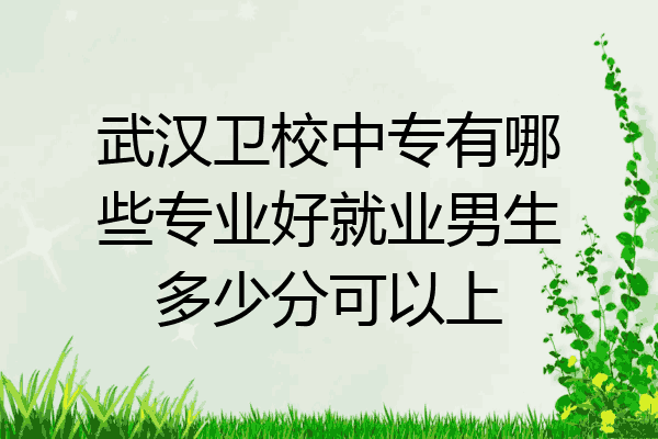武汉卫校中专有哪些专业好就业男生多少分可以上