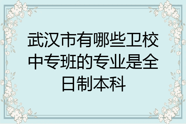 武汉市有哪些卫校中专班的专业是全日制本科