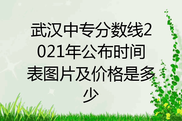武汉中专分数线2021年公布时间表图片及价格是多少