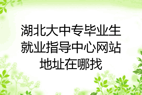 湖北大中专毕业生就业指导中心网站地址在哪找