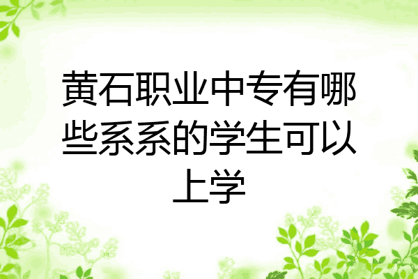 黄石职业中专有哪些系系的学生可以上学