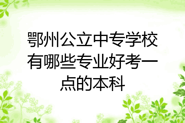 鄂州公立中专学校有哪些专业好考一点的本科