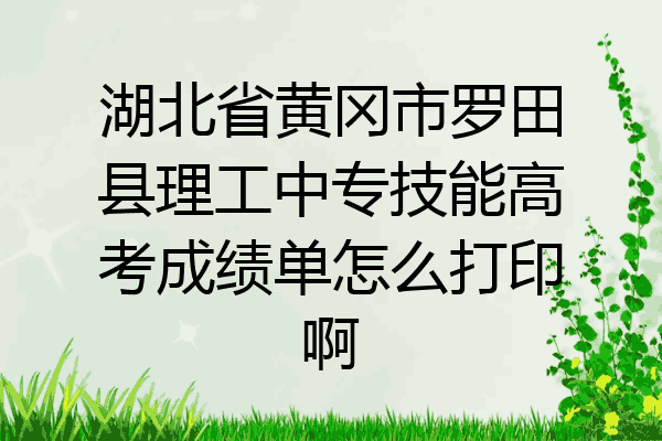 湖北省黄冈市罗田县理工中专技能高考成绩单怎么打印啊