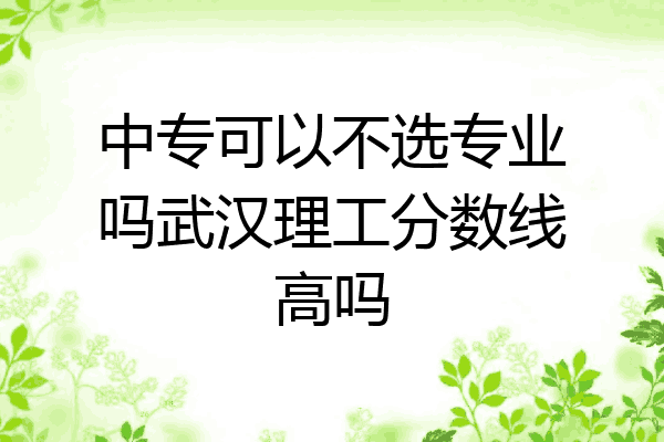 中专可以不选专业吗武汉理工分数线高吗