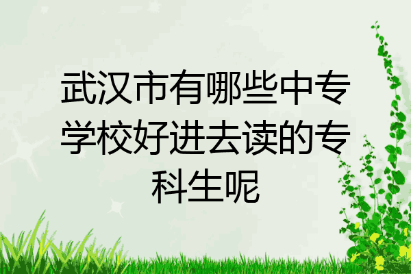 武汉市有哪些中专学校好进去读的专科生呢
