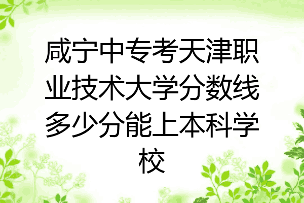 咸宁中专考天津职业技术大学分数线多少分能上本科学校