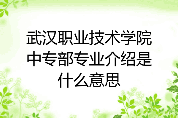 武汉职业技术学院中专部专业介绍是什么意思