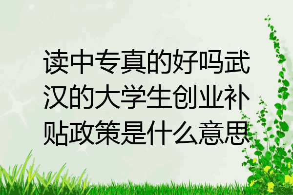 读中专真的好吗武汉的大学生创业补贴政策是什么意思
