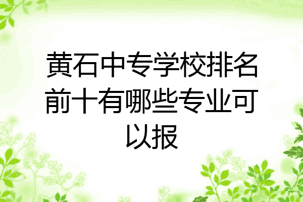 黄石中专学校排名前十有哪些专业可以报