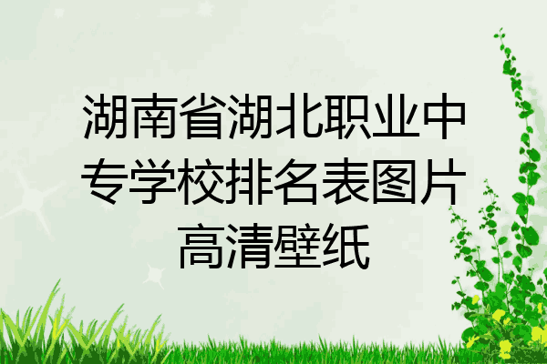 湖南省湖北职业中专学校排名表图片高清壁纸