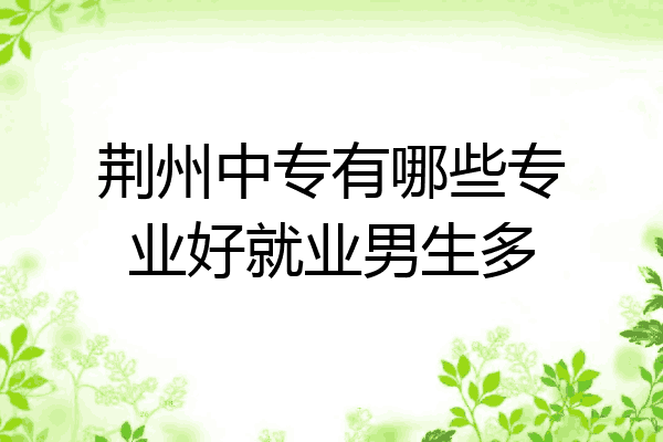 荆州中专有哪些专业好就业男生多