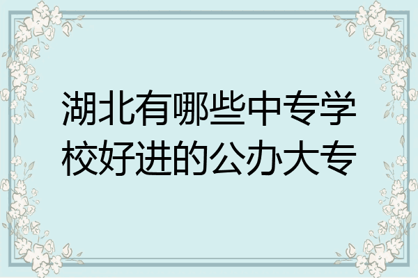 湖北有哪些中专学校好进的公办大专