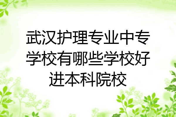 武汉护理专业中专学校有哪些学校好进本科院校