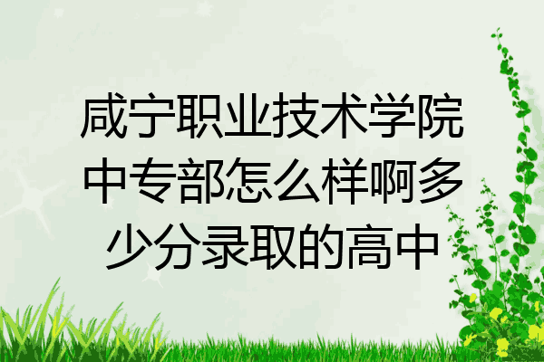 咸宁职业技术学院中专部怎么样啊多少分录取的高中