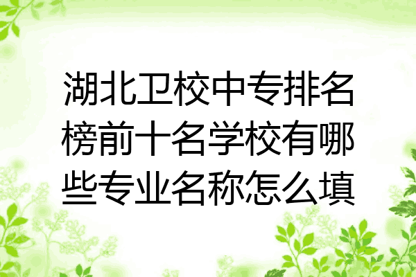 湖北卫校中专排名榜前十名学校有哪些专业名称怎么填