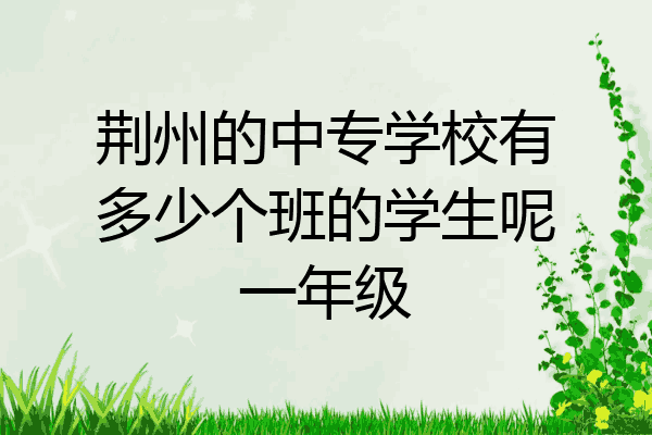 荆州的中专学校有多少个班的学生呢一年级