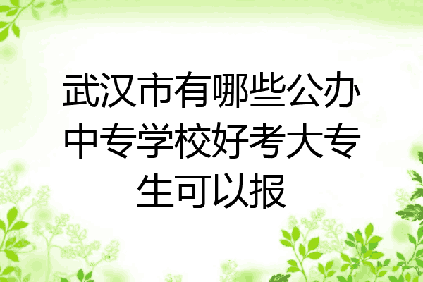 武汉市有哪些公办中专学校好考大专生可以报