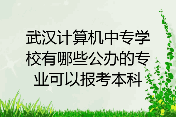 武汉计算机中专学校有哪些公办的专业可以报考本科