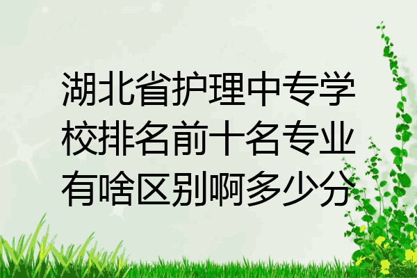 湖北省护理中专学校排名前十名专业有啥区别啊多少分