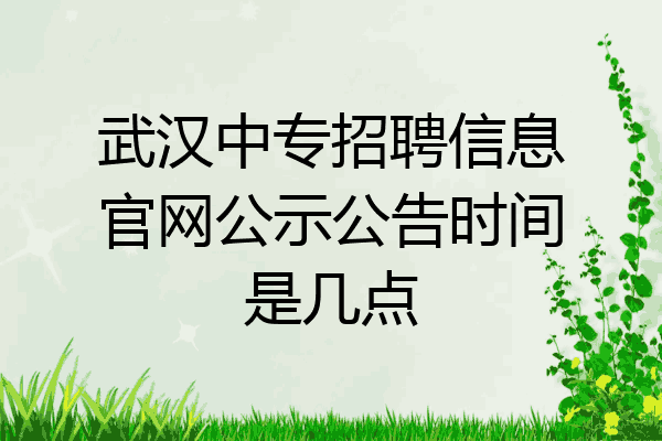武汉中专招聘信息官网公示公告时间是几点