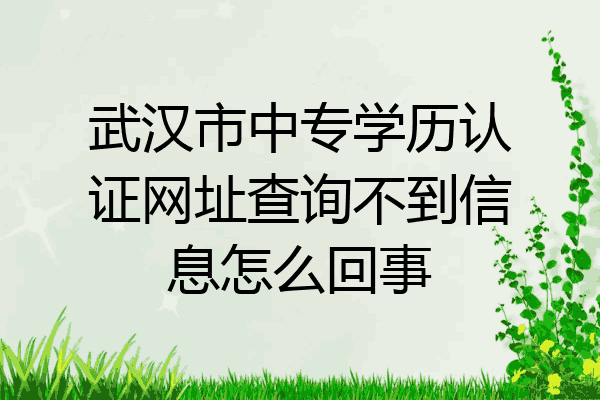 武汉市中专学历认证网址查询不到信息怎么回事