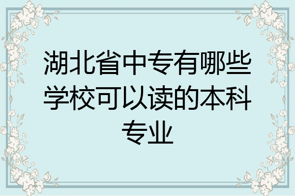 湖北省中专有哪些学校可以读的本科专业