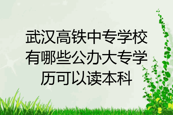 武汉高铁中专学校有哪些公办大专学历可以读本科