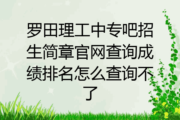罗田理工中专吧招生简章官网查询成绩排名怎么查询不了