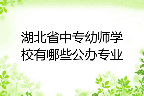 湖北省中专幼师学校有哪些公办专业