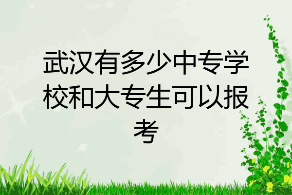 武汉有多少中专学校和大专生可以报考