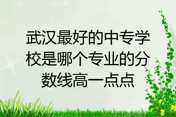 武汉最好的中专学校是哪个专业的分数线高一点点
