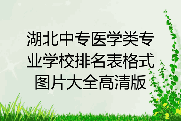 湖北中专医学类专业学校排名表格式图片大全高清版