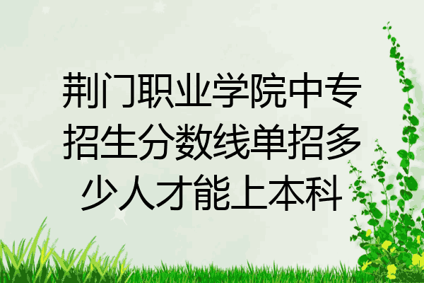 荆门职业学院中专招生分数线单招多少人才能上本科