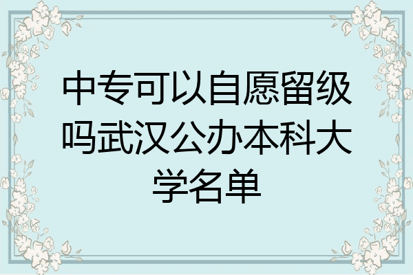 中专可以自愿留级吗武汉公办本科大学名单
