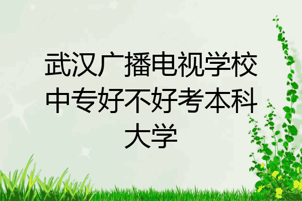 武汉广播电视学校中专好不好考本科大学