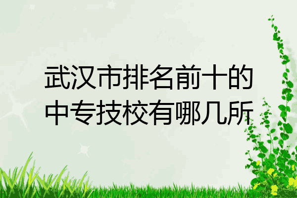 武汉市排名前十的中专技校有哪几所