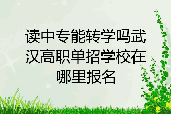 读中专能转学吗武汉高职单招学校在哪里报名
