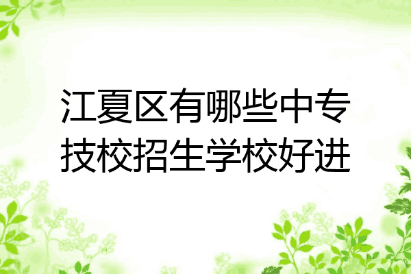 江夏区有哪些中专技校招生学校好进