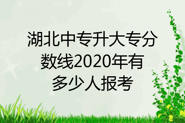 湖北中专升大专分数线2020年有多少人报考