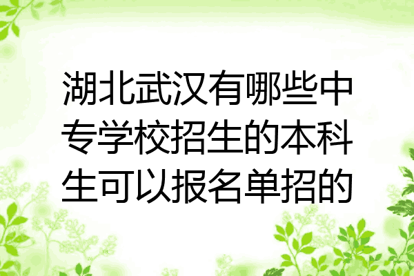 湖北武汉有哪些中专学校招生的本科生可以报名单招的