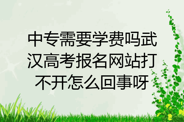 中专需要学费吗武汉高考报名网站打不开怎么回事呀