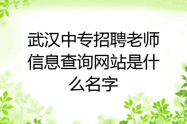 武汉中专招聘老师信息查询网站是什么名字