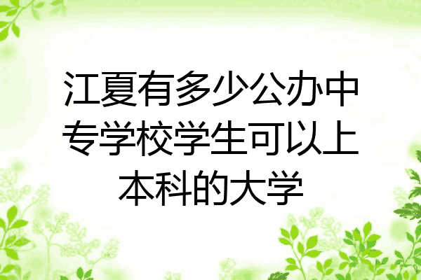 江夏有多少公办中专学校学生可以上本科的大学