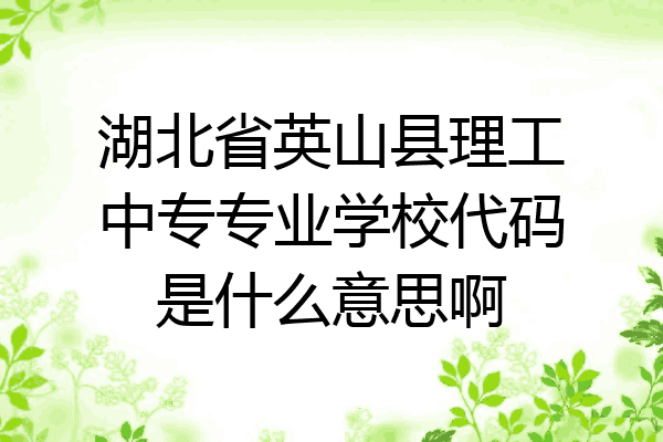 湖北省英山县理工中专专业学校代码是什么意思啊