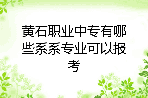 黄石职业中专有哪些系系专业可以报考