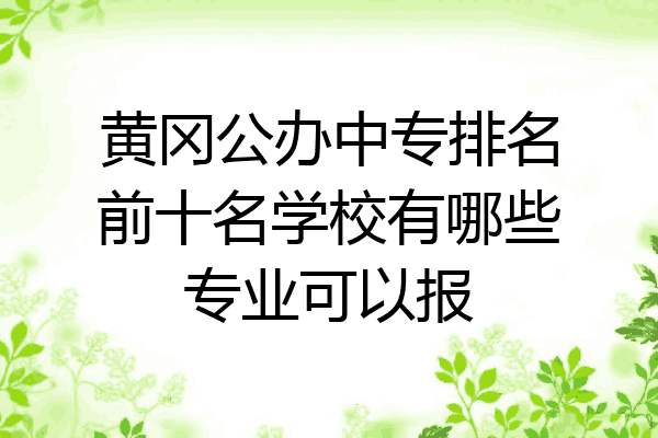 黄冈公办中专排名前十名学校有哪些专业可以报