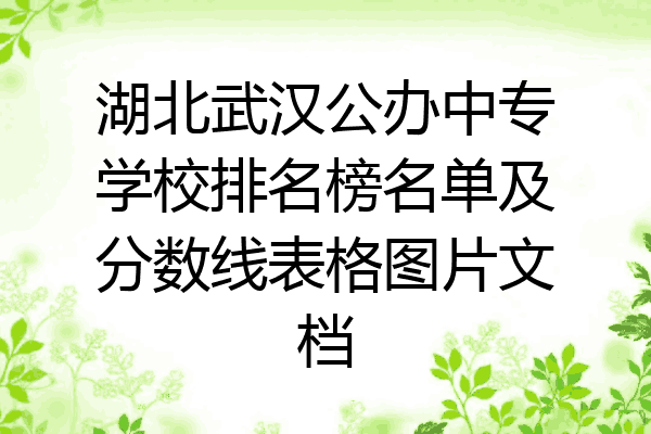 湖北武汉公办中专学校排名榜名单及分数线表格图片文档