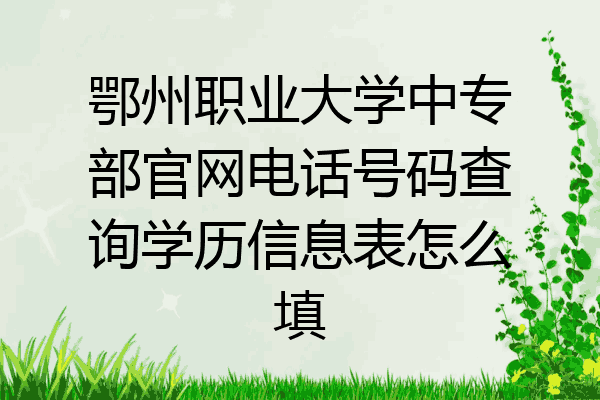 鄂州职业大学中专部官网电话号码查询学历信息表怎么填