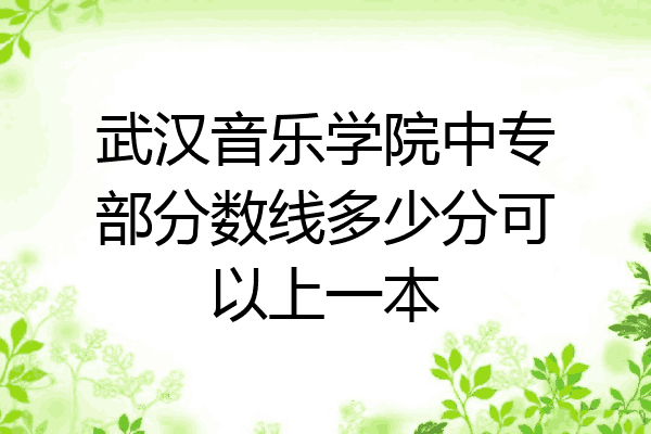 武汉音乐学院中专部分数线多少分可以上一本