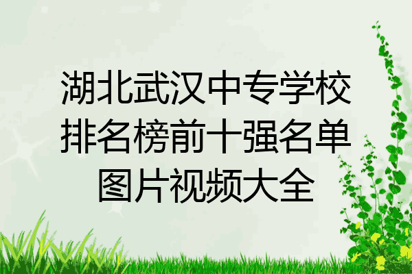 湖北武汉中专学校排名榜前十强名单图片视频大全